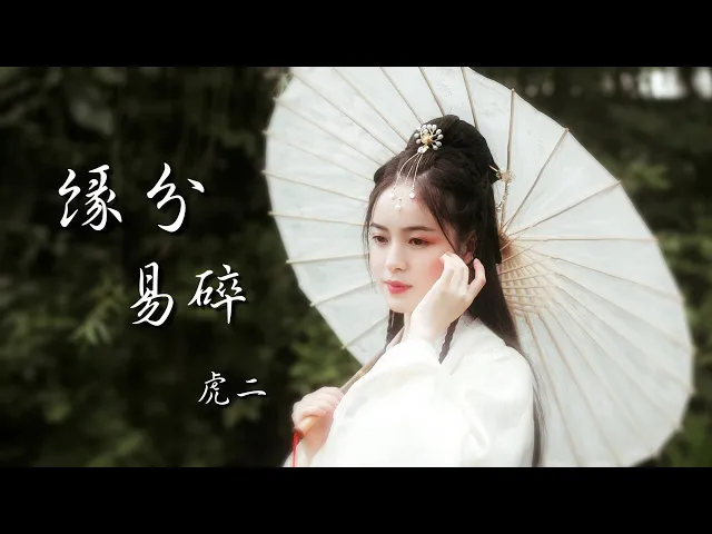 緣分易碎 虎二『容顏被歲月枯黃滄桑時光 愛已注定人海裡流浪』【華語動態歌詞lyrics】